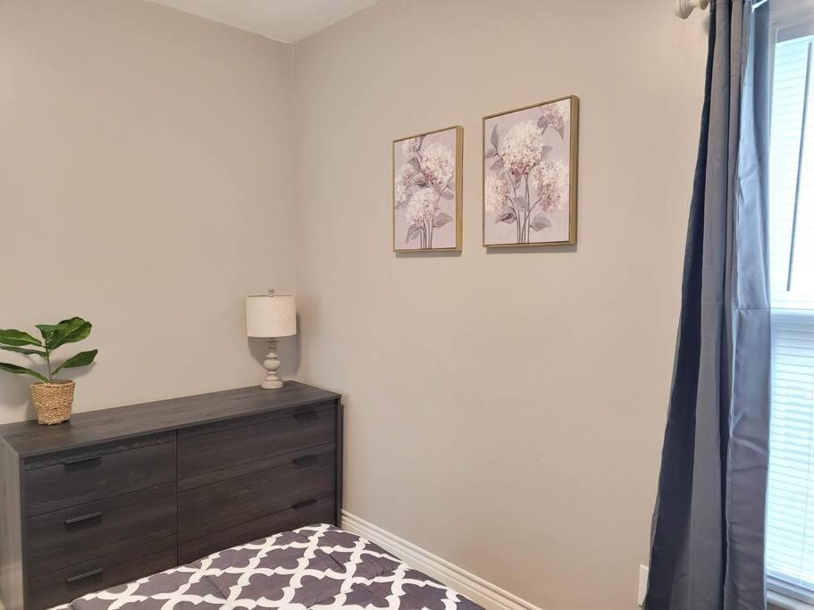Apartment Brand New House In Downtown With Parking Buffalo